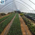Customized Size Film Cover The Ultimate Solution for Agricultural Stretch Film