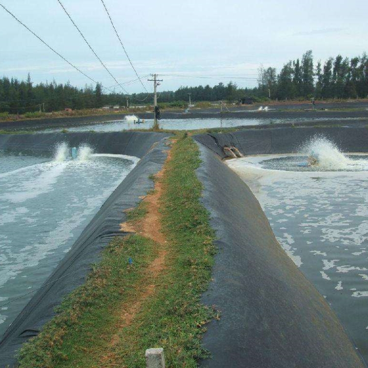 Tear Resistant HDPE Geomembrane for Ponds Landfill Site Project 0.2mm-2.8mm Thickness