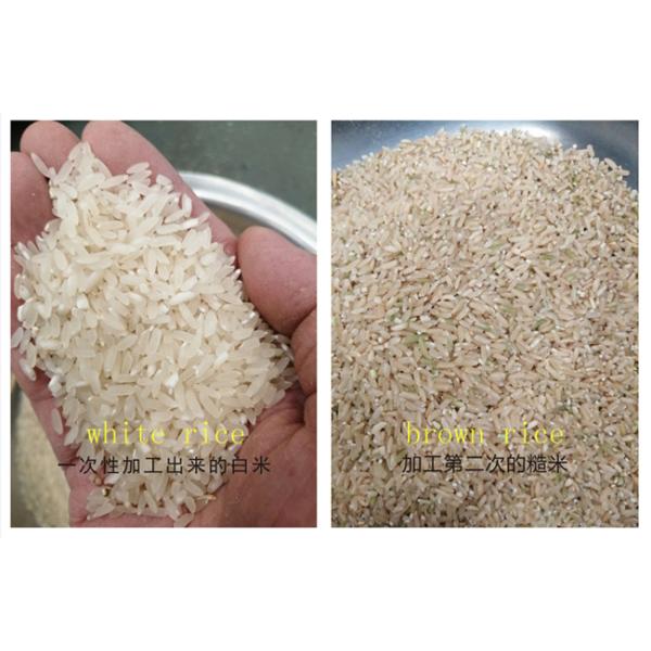 150kg Hour Mini Paddy Brown White Rice Processing Mill Machine Plant