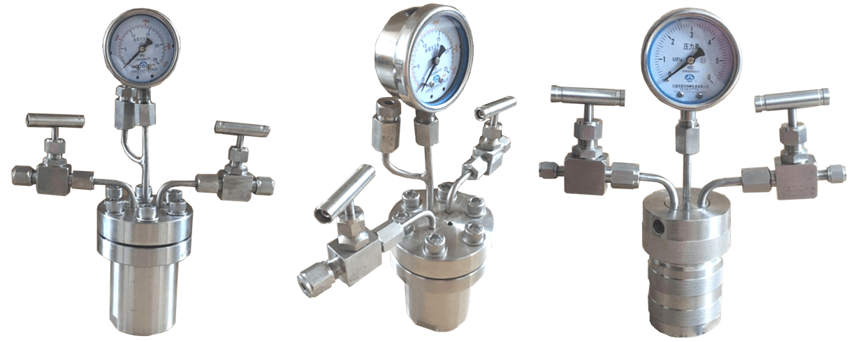 hydrothermal autoclave reactor with teflon chamber