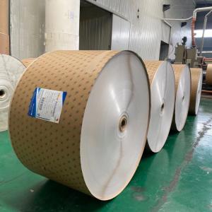 China White Kraft PE Coated Paper Roll 135gsm For Bowl Semi Finished wholesale