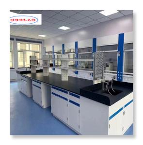 China Functional Lab Wall Benches Enhancing Safety with PP Construction wholesale
