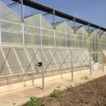 Multi-Span Agricultural Greenhouses for Sustainable Fruits and Vegetables