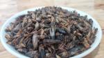 Brown Dry Insect Dried Crickets For Birds High Protein Nutrition