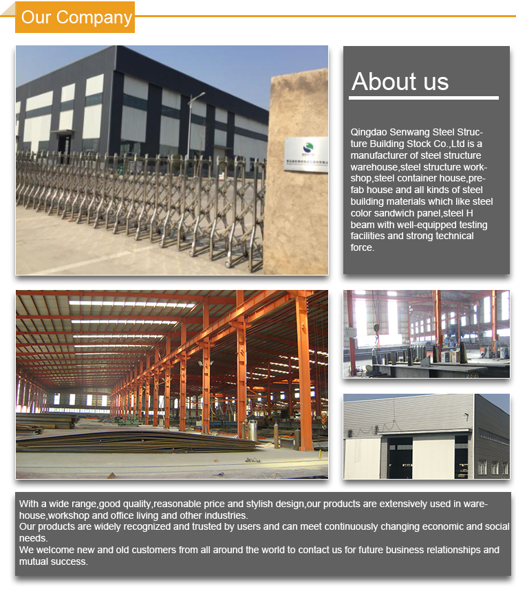 Customized Durable Steel Structure Shed Workshop / Hangar / Hall Buildings