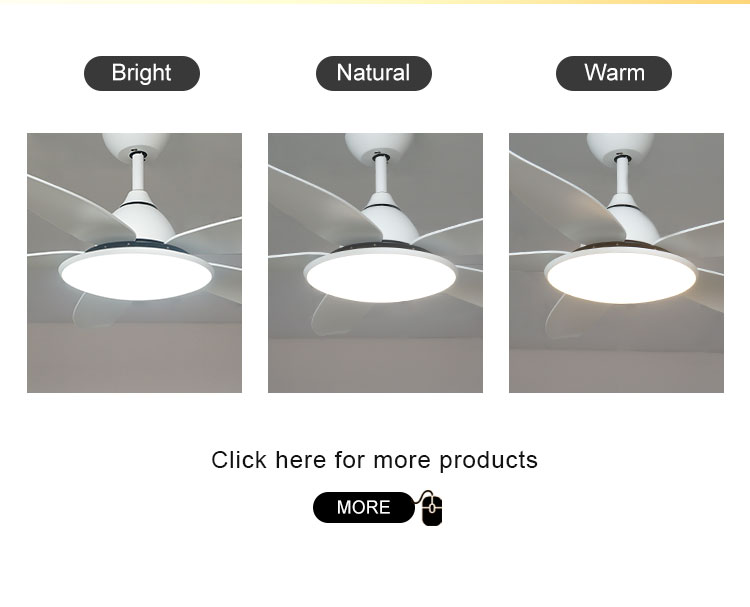 1stshine Ceiling Fan 10 for Motor Easy Clean Black Plastic Blades Remote Control and Light