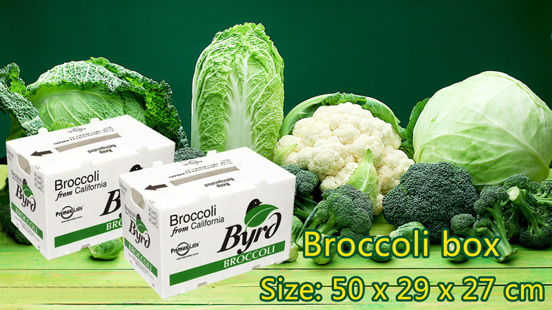 Lemon Banana Fruit Corrugated Boxes Coflute Corrugated Polypropylene Boxes