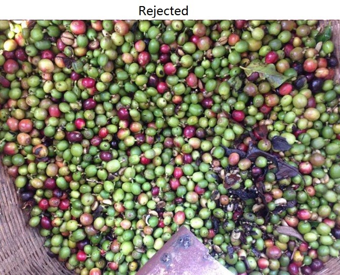 2.4 kw 5 Chute Coffee Beans Color Sorter