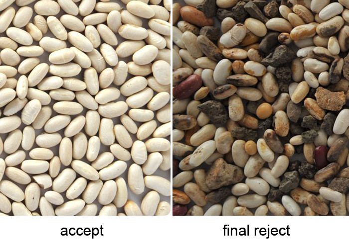 Hons CCD Coffee Bean Color Sorter Machine With 5000 Pixels CCD Sensor