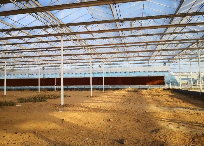 Modern venlo hot dip galvanized steel pipe polycarbonate greenhouse structure Multi-Span Commercial pc sheet green house cooling system