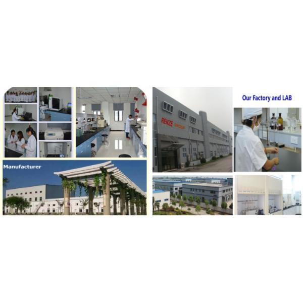 Food Grade Pure Sucralose Powder Sweetener Sugar Substitute Cas 56038-13-2