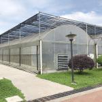 Large Tunnel Custom Multi-span Plastic Blueberry Growing Greenhouses