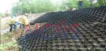 ODM High Density Polyethylene Slope Protection Geocell Road 100-445