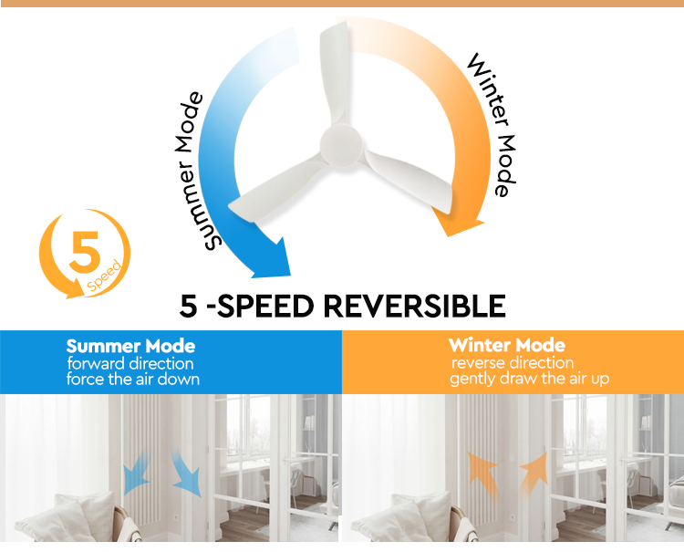 ceiling fan