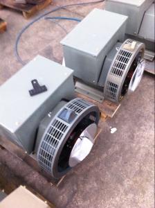 China USA Essex Copper Wire 6.5Kw Brushless Alternator For Perkins Generator Set wholesale
