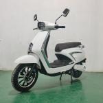 Custom exportSoutheast Asia selling electric vehicle passenger electric vehicle