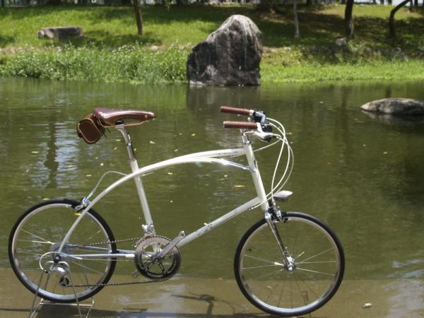 Caliper brake black Chrome steel mini small 20 size old style city bike for lady