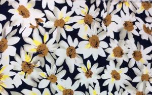 China Elastic Cotton 97% Spandex 3% Dyeing Printed Fabric wholesale