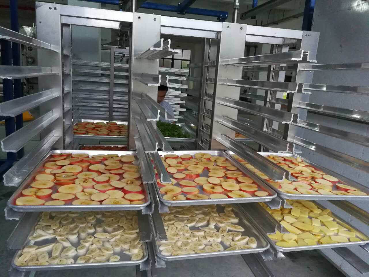 fruit freeze drying machine