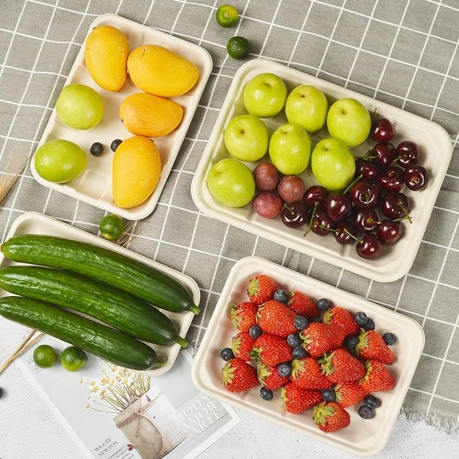 Party Compostable Fruit Meat 220ml Sugarcane Bagasse Tray Disposable Biodegradable