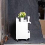 10KG Wood Corner Cabinet