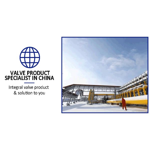 Manual Flanged Gate Valve for Water Steam Oil ISO9001 Certified