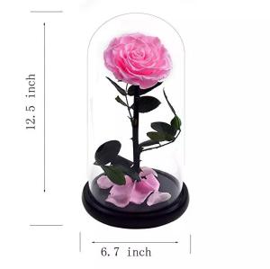 China Natural Fresh Roses Flowers Everlasting Preserved Eternal Rose beautiful Rose Preserved Flower wholesale