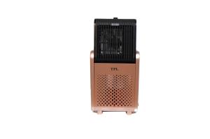 China Free Standing Miniature Electric Fireplace , TPL-02 Imitation Electric Fireplace wholesale