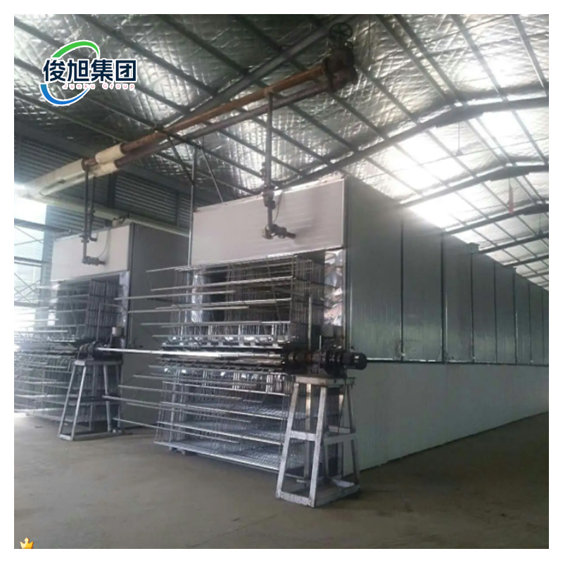 Durable High Capacity Wood Veneer Dryer For Fast Drying Process