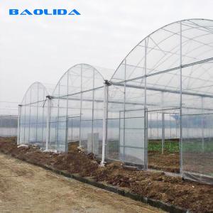 China Strong Structure Heavy Duty Plastic Greenhouse / Plastic Tomato Greenhouse wholesale