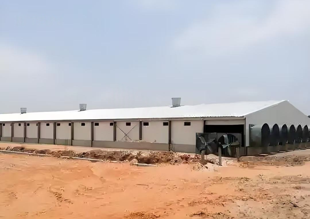 Large Space Steel Structure Construction Garage Storage Prefabricated Steel Building