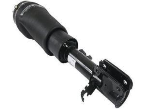 China RNB500540 Air Suspension Parts Air Suspension Strut wholesale