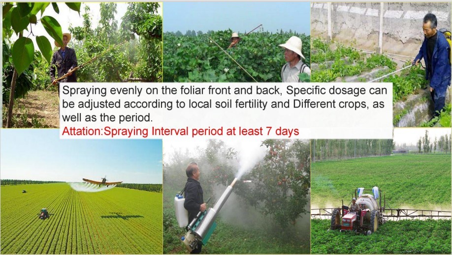 Soil Conditioner Biological Organic Fertilizer Chelated Humic Acid
