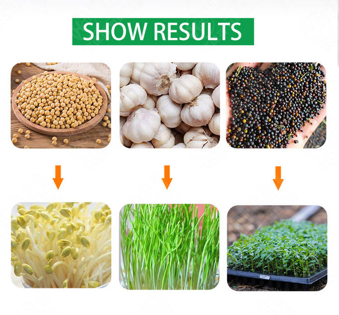 250kg/d Automatic Quick Mung Bean Sprout Machine Barley Bean Sprout Machine