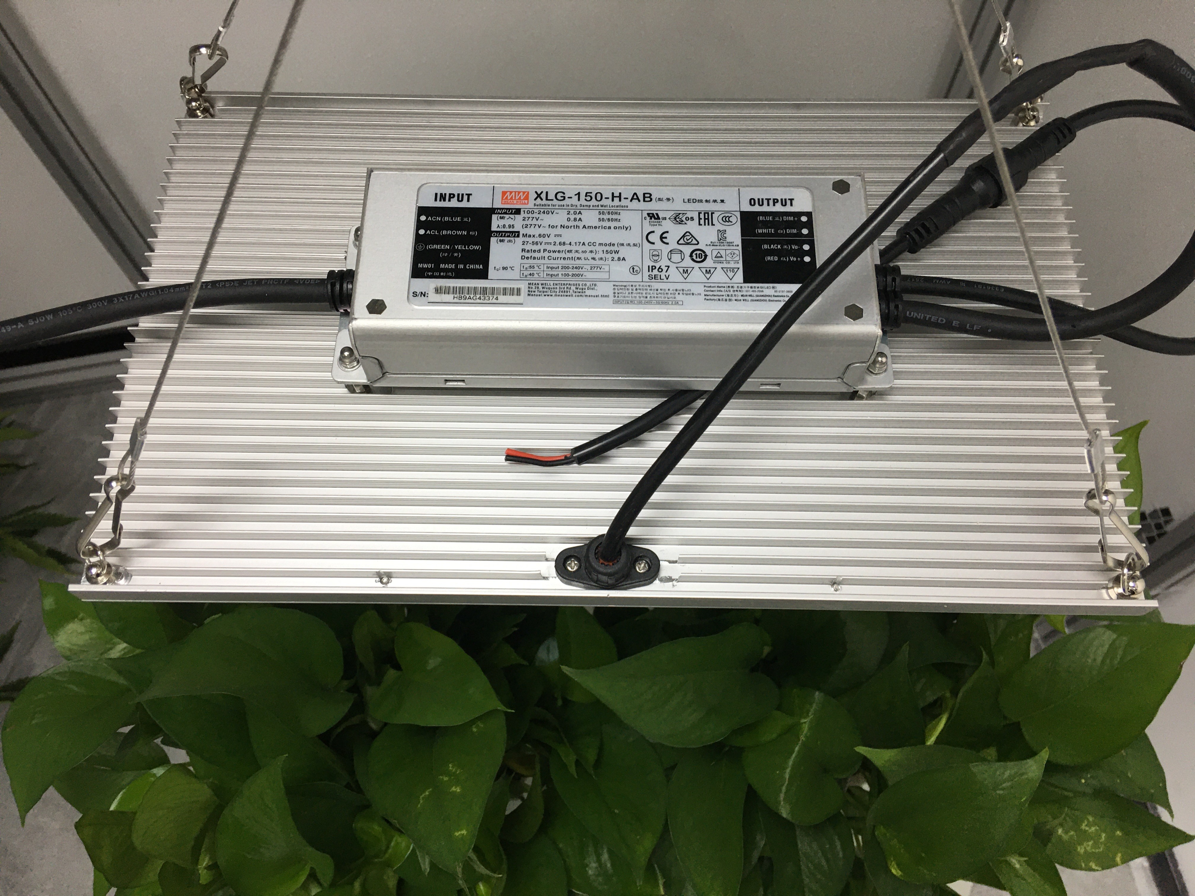 UL 5000lm Diy Quantum Board Grow Light for Cultivation