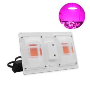 China Aluminum Light Bar Module Package In Retail Box With 50000h Lifespan wholesale