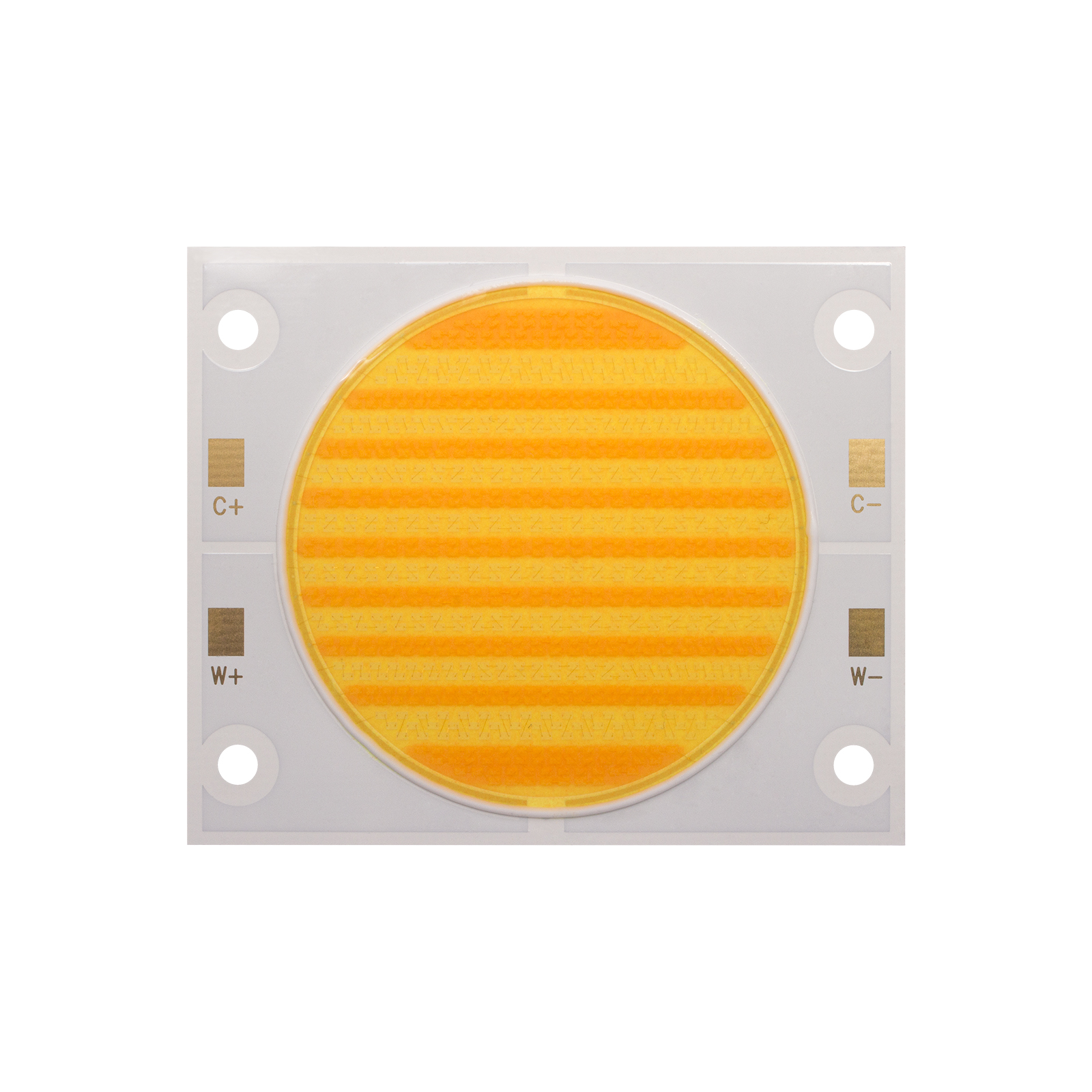 High Lumen Output Dual Color COB LED 200W 200W 300W 300W 3838 5454 6050 Chip 2700K 6500K Ra98 For Photography Light