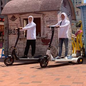 China 20ah Lithium 8h Chargin Electric E Scooter Treadmill Smart Balancing wholesale