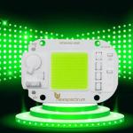 AC COB Flip 50W LED Chip Surge Protect For Landscape Lighting