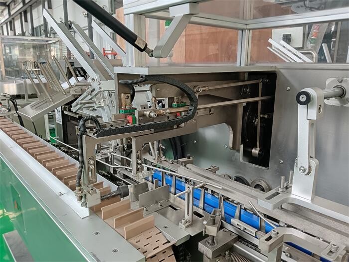 Automatic Customizable Pharma Packing Machine for Alu/Alu Tray Labeling
