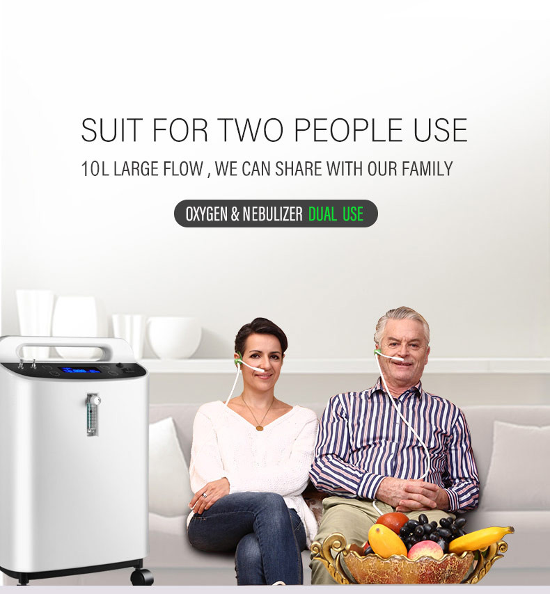 50HZ 10l Portable Oxygen Concentrator Machine LESS THAN 55DB