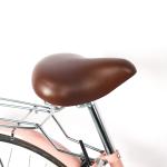Female Commuter Adult Student 26 Inch Variable Speed Vintage Bicycle Wholesale