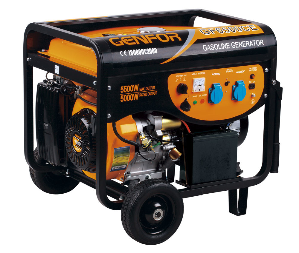 25L Fuel Tank Portable Gasoline Generator 8000E Electric Start Backup Battery