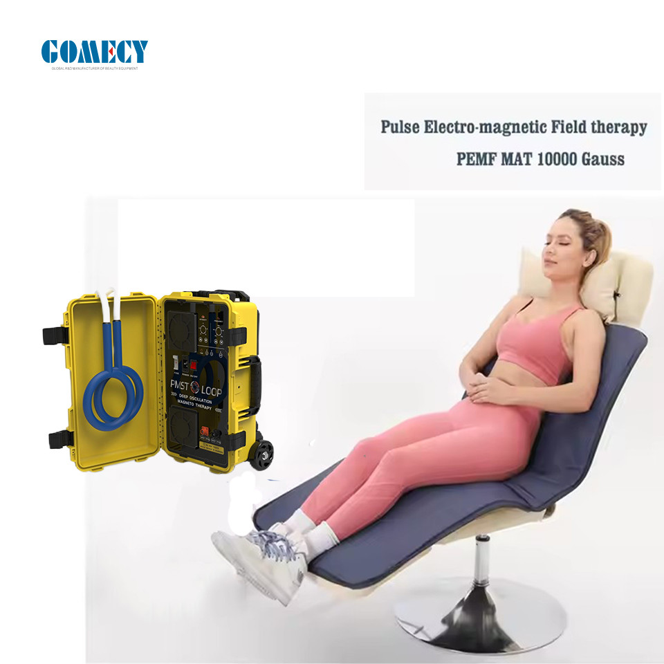 PMST Loop Mat Pemf Magnetic Pulsed Field Magnetic Therapy Human Pain Relief