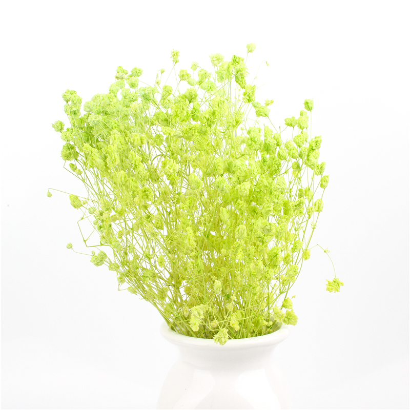 Indoor Decoration Preserved Babys Breath For Decorating Living Room