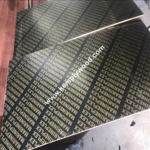China Finger joint film faced plywood for construction 13-ply wood wholesale