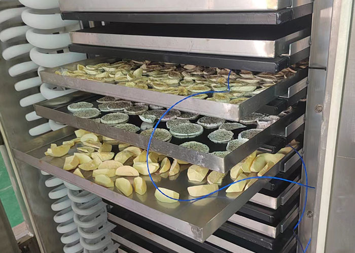 Pharmaceutical Vacuum Dryer Pharmaceutical Cold Trap Range -80C-90C