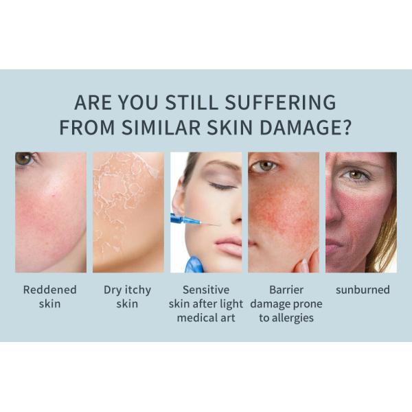 Natural Centella Skin Cleansing Water Facial Toner Moisturizing Hyaluronic Acid Face Mist