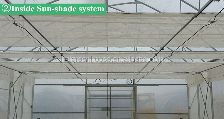 Namibia Africa Gutter Connected Greenhouse with Optimal Ventilation and Single Layer