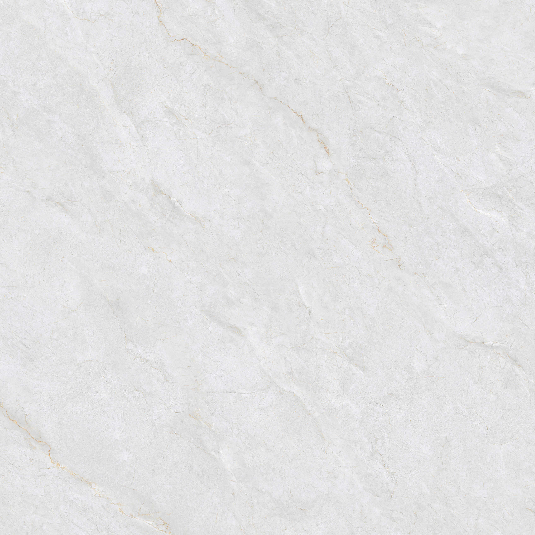Non-Slip Grey Polished Porcelain Tile 800x800mm